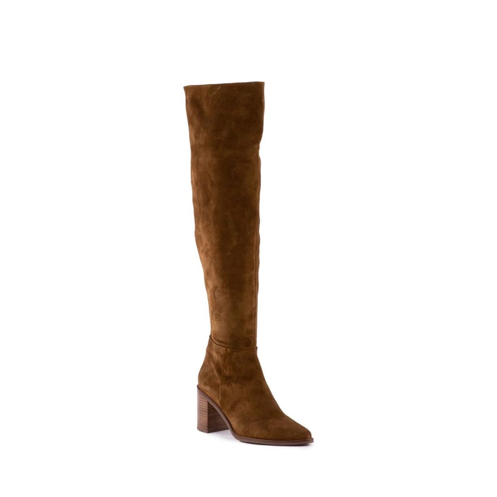 Boho Glam, over-the-knee soft, luxurious suede, stacked heel, pointed toe boot.